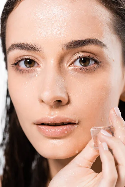 portrait of brunette wet young woman holding ice cube and looking at camera isolated on white