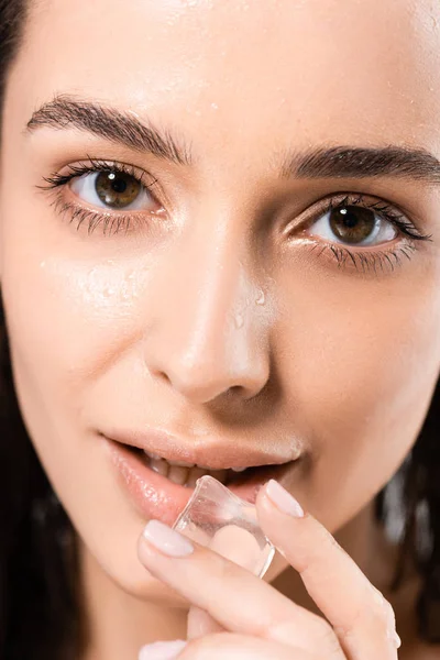 portrait of brunette wet young woman holding ice cube isolated on white