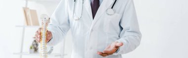 omurga modeline dokunmadan Doktor işaret panoramik çekim 