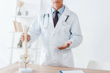 omurga modeli dokunmadan süre Doktor işaret görünümü kırpılmış 