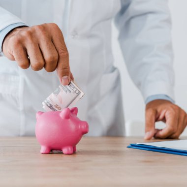 Domuzcuk bankada dolar banknot koyarak Doktor kırpılmış görünümü 