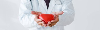 Beyaz elinde kırmızı kalp modeli tutan Doktor panoramik çekim