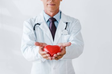 Beyaz elinde kırmızı kalp modeli tutan Doktor kırpılmış görünümü