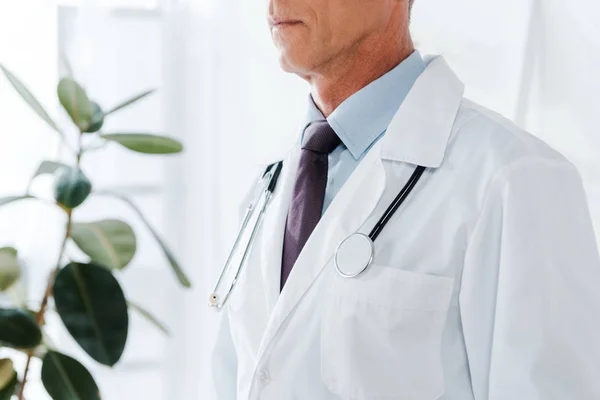 Cropped View Doctor White Coat Stethoscope Standing Clinic — Stock Photo, Image