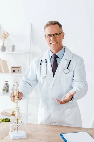 Cheerful Doctor Glasses White Coat Touching Spine Model — Stock Photo, Image