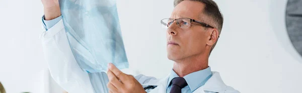 Panoramic Shot Doctor White Coat Glasses Looking Ray Hospital — Stock Photo, Image