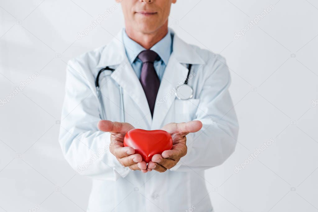 cropped view of doctor holding red heart model in hands on white