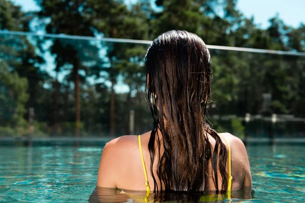Back view of woman in swimming in pool on resort during daytime