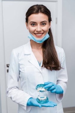 tıbbi maske diş modeli tutan ve klinikte gülümseyen neşeli diş hekimi 