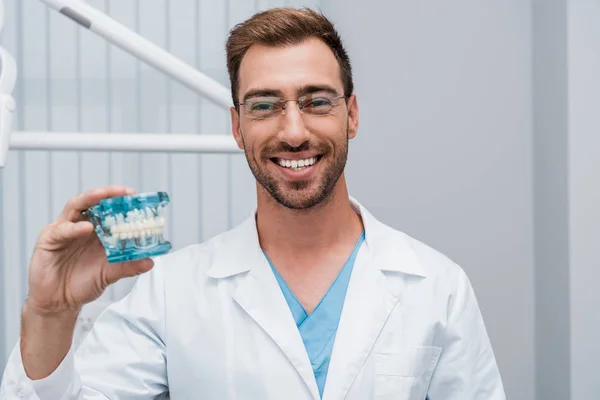 Diş Kliniğinde Diş Modeli Tutan Gözlük Neşeli Sakallı Diş Hekimi — Stok fotoğraf
