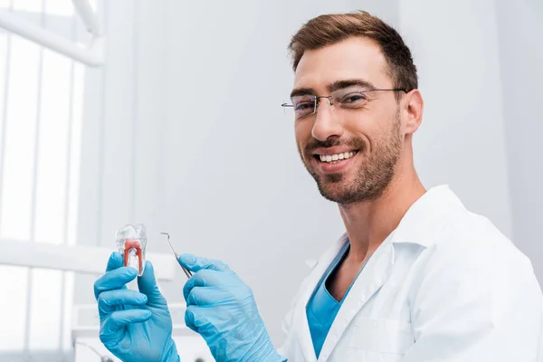 Bonito Barbudo Dentista Segurando Dental Instrumento Dente Modelo Enquanto Sorrindo — Fotografia de Stock