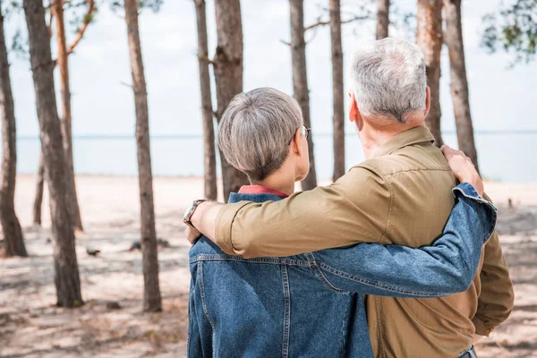 Back View Senior Couple Embracing Forest Sunny Day — Stock Photo, Image
