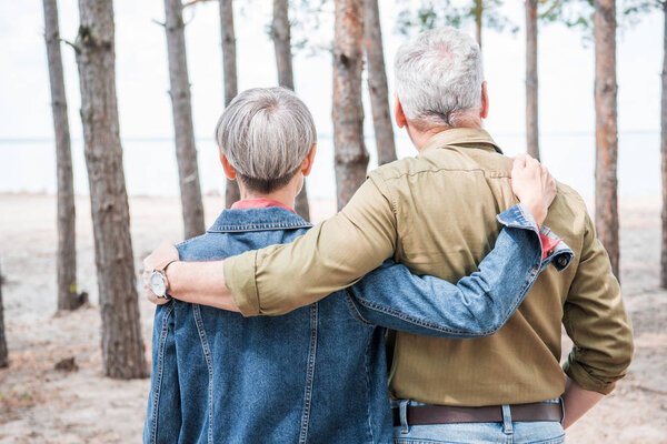 back view of senior couple embracing in forest in sunny day