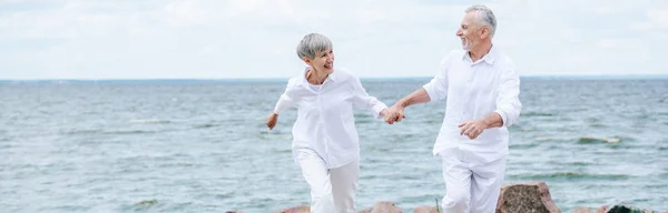 Panoramic View Smiling Senior Couple Holding Hands Looking Each Other — Stock Photo, Image