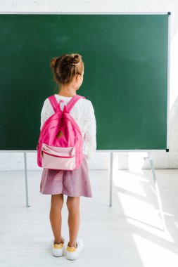 back view of schoolkid standing near green chalkboard in classroom 