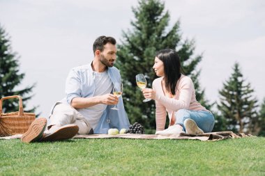 parkta battaniye üzerinde otururken beyaz şarap bardak tutan engelli kız arkadaşı ile yakışıklı adam