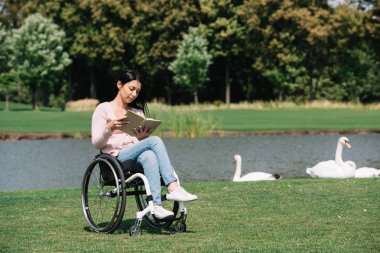 young disabled woman reading book while sitting in wheelchair near lake with white swans clipart