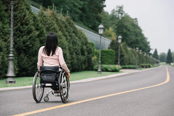 Vista Trasera Joven Mujer Discapacitada Caminando Parque Silla Ruedas —  Fotos de Stock