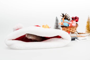 selective focus of small rat in santa hat isolated on white  clipart