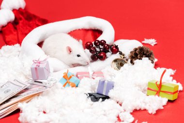kırmızı meyveleri, para yakın santa şapka küçük fare ve kırmızı izole sunar 