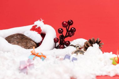 hediyeler ve cep saati kırmızı izole yakın küçük santa şapka sıçan seçici odak 