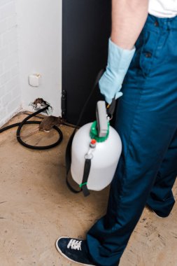 cropped view of exterminator standing near rat and hole in brick wall and holding toxic spray  clipart