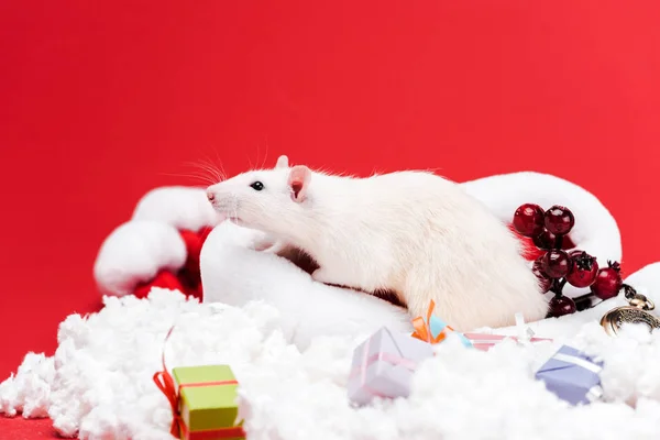 Fokus Selektif Tetikus Kecil Pada Topi Santa Dekat Hadiah Dan — Stok Foto