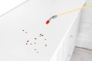 toxic spray near dead cockroaches on table in kitchen  clipart
