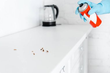 hamamböceği yakın olabilir sprey tutan imha edici kırpılmış görünümü 