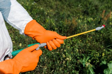 cropped view of exterminator in orange latex gloves holding toxic spray  clipart