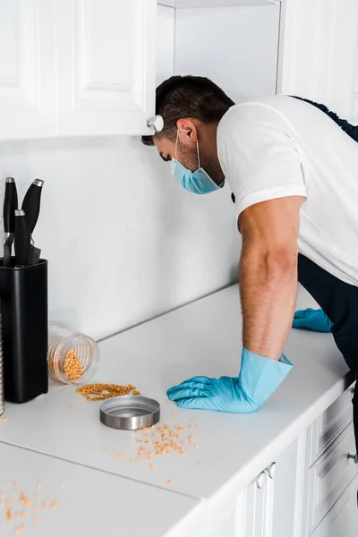 Exterminator Skin Staande Buurt Van Keuken Kast Erwten Tafel — Stockfoto