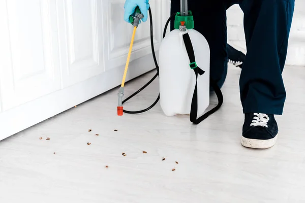 Vista Cortada Homem Segurando Spray Tóxico Perto Baratas Chão Cozinha — Fotografia de Stock