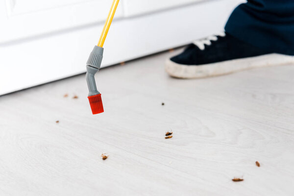 cropped view of exterminator holding toxic spray near insects on floor