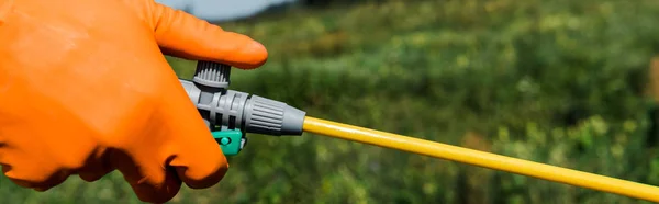 Tiro Panorâmico Exterminador Luva Látex Segurando Spray Fora — Fotografia de Stock