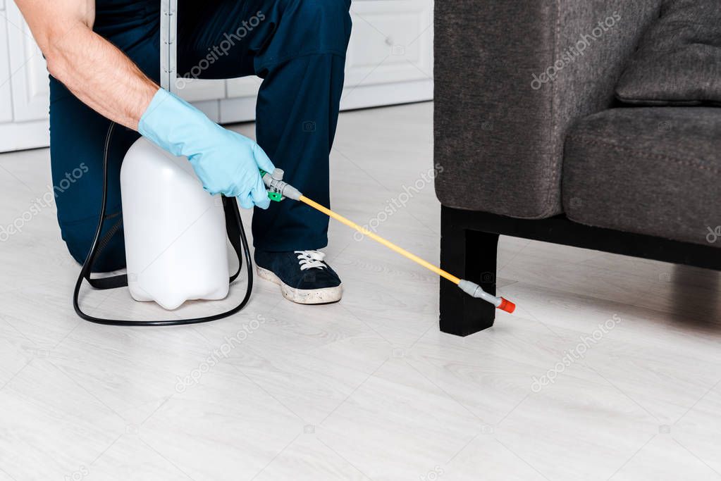 cropped view of man in uniform and blue latex gloves holding spray with pesticide near sofa