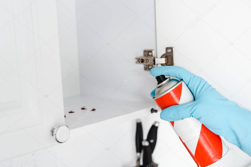 cropped view of exterminator in latex glove holding spray can near kitchen cabinet 