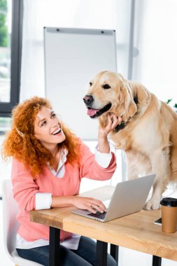 çekici kadın gülümseyerek ve ofiste sevimli altın retriever okşayarak 