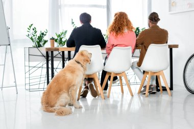 masada oturan üç arkadaş ve yerde oturan altın retriever arka görünümü 