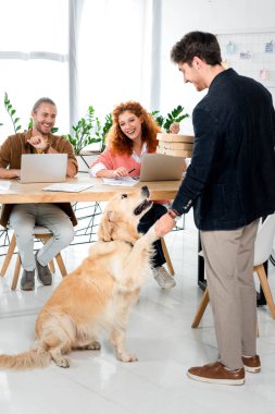 altın retriever yakışıklı adam ve gülümseyen arkadaşlar ona bakarak pençe veren 
