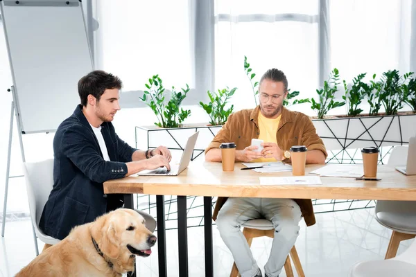 Dos Amigos Guapos Usando Ordenador Portátil Smartphone Oficina — Foto de Stock