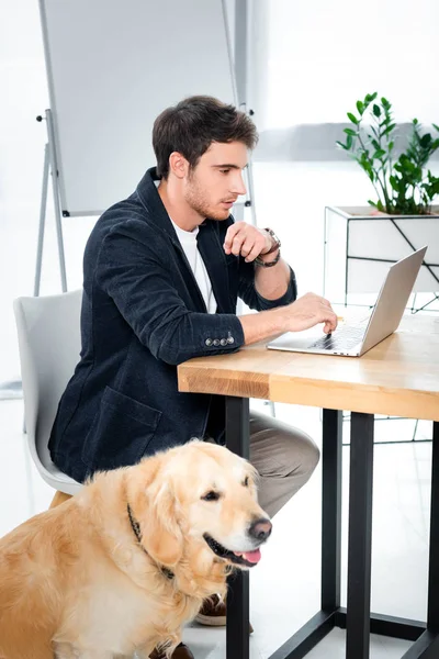 Όμορφος Επιχειρηματίας Χρησιμοποιώντας Laptop Και Γκόλντεν Ριτρίβερ Κάθεται Στο Γραφείο — Φωτογραφία Αρχείου