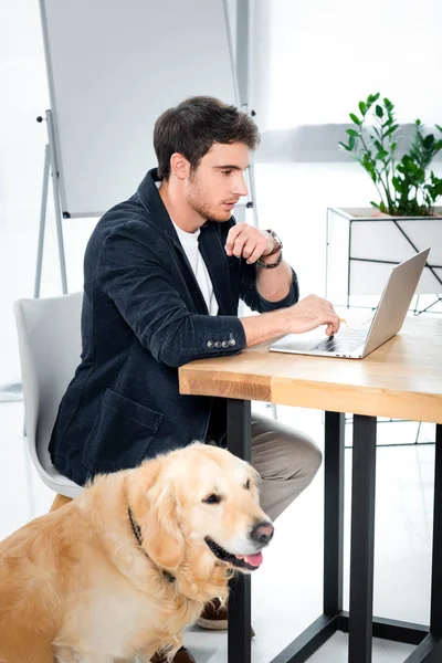 Hombre Negocios Guapo Usando Ordenador Portátil Golden Retriever Sentado Oficina — Foto de Stock