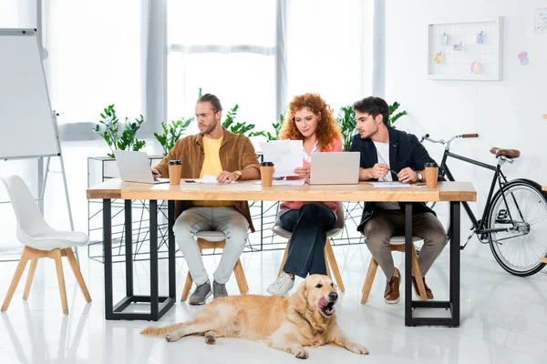 Tres Amigos Usando Ordenador Portátil Haciendo Papeleo Oficina — Foto de Stock