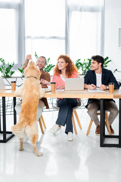 three friends smiling and feeding golden retriever in office 