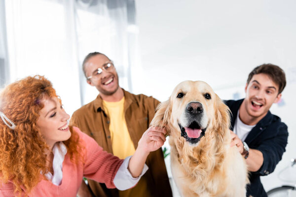 selective focus of three smiling friends stroking cute golden retriever in office 
