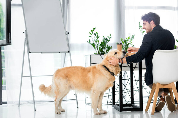 back view of smiling businessman sitting at table and stroking golden retriever sitting on floor 