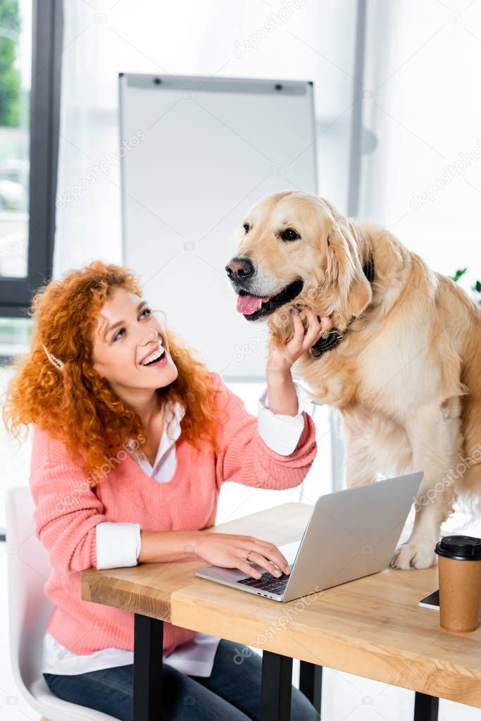 attractive woman smiling and stroking cute golden retriever in office 