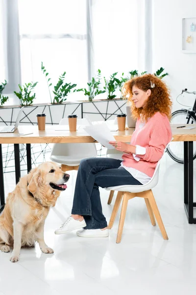 有吸引力的女人在粉红色的毛衣做文书工作和金色的猎犬坐在办公室的地板上 — 图库照片