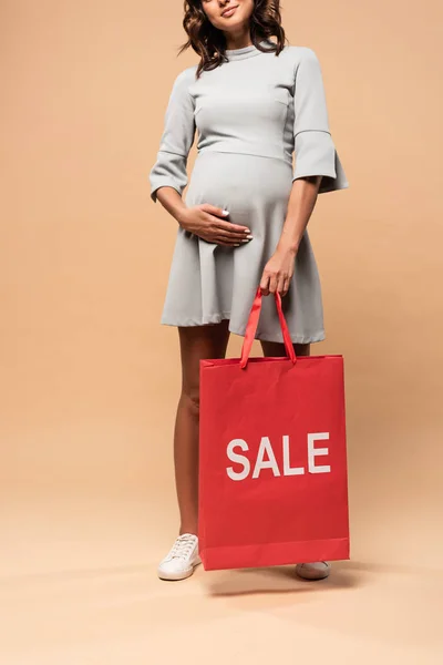 Vista Recortada Mujer Embarazada Vestido Gris Sosteniendo Bolsa Compras Con —  Fotos de Stock