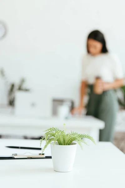 Foco Seletivo Planta Verde Perto Área Transferência Caneta Mesa — Fotografia de Stock